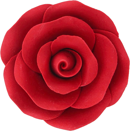 rose de face 512